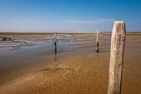 The Wadden Sea at low tide