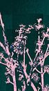 Japanse bloemen groenroze van FRESH Fine Art thumbnail