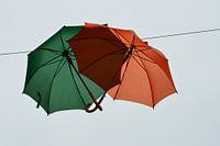 Paraplu's van de regen in de drup.