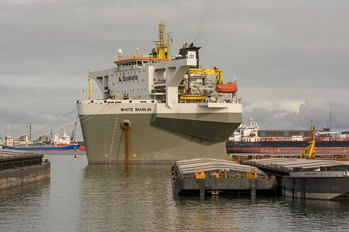 Schepen in in de Waalhaven afgemeerd.