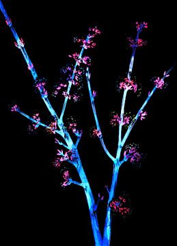 Japanische Blumen bei Nacht von FRESH Fine Art