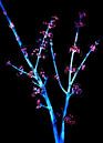 Japanse bloemen bij nacht van FRESH Fine Art thumbnail
