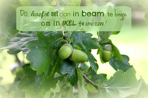 Fryske spreuken - Friese spreuken of teksten