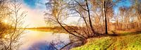 Sunrise at the lake - nature at its best