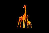 Giraffe2 von Catherine Fortin Miniaturansicht