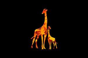 Giraffe2 van Catherine Fortin