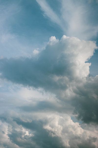baby blue by Machteld van Ochten