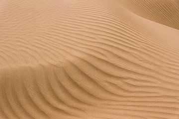 Lijnen en schaduw van een zandduin in de Karakum woestijn | Turkmenistan van Photolovers reisfotografie