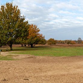 Open plain near the Speulderbos by DuFrank Images