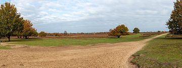 Open plain near the Speulderbos