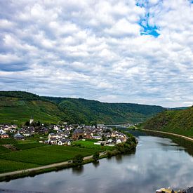 Wine fields near Beilstein on the Mosel. by Jan van Broekhoven