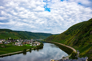 Wine fields near Beilstein on the Mosel.
