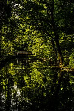 Reflet d'arbres dans un ruisseau avec un pont en bois sur Dieter Walther