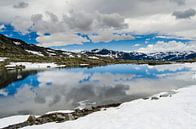 Spiegeling in smeltwater - Noorwegen van Ricardo Bouman thumbnail