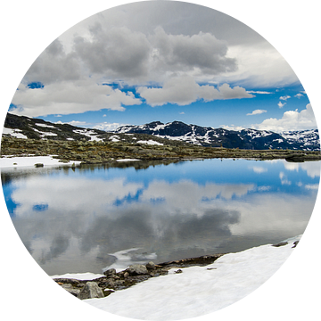 Spiegeling in smeltwater - Noorwegen van Ricardo Bouman