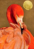 Flamingo With Golden Sun