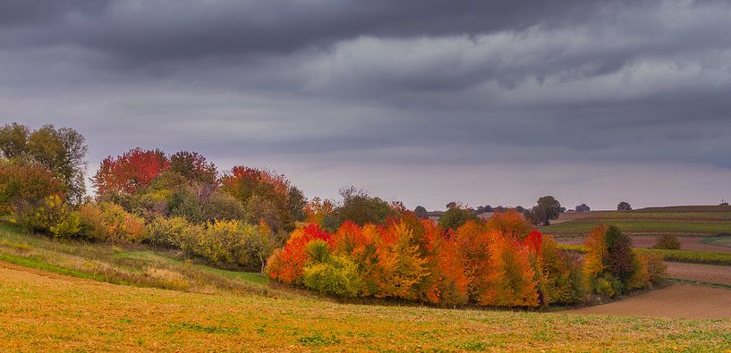 Bunter Herbst von Ursula Di Chito