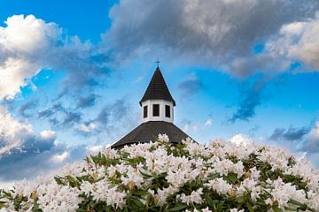 Kirchturmspitze hinter Blüten von Holger Spieker