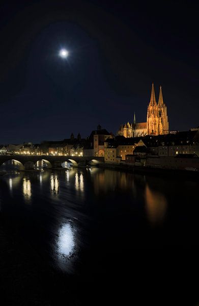 Moonlit night in Regensburg by Thomas Jäger