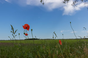 Groningen und Drenthe Veenkoloniën