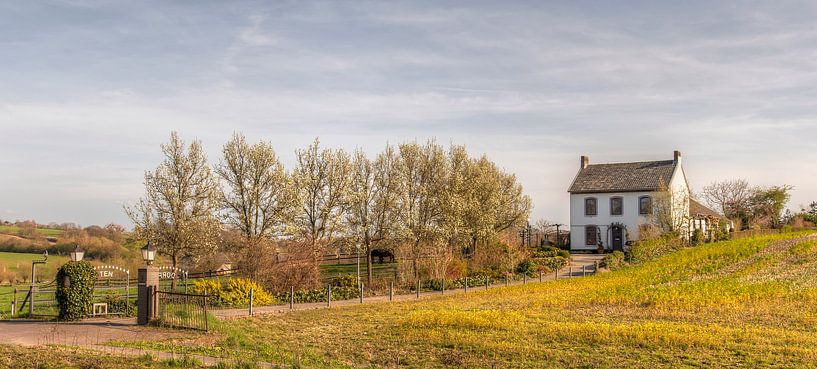 Terpoorterweg in Epen van John Kreukniet