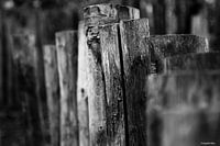 Houten omheining