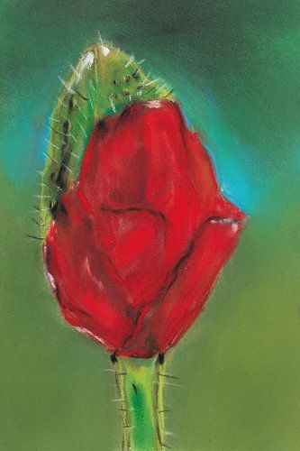 Poppy Flower by Jolanda Janzen-Dekker