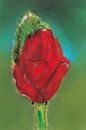 Klaproos Bloem van Jolanda Dekker thumbnail