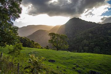 New South Wales, Australia by Willem Vernes