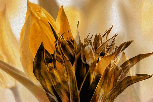 FLORA : LE BOUQUET DE TULIPES