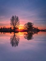 Zonsopkomst Meinerswijk