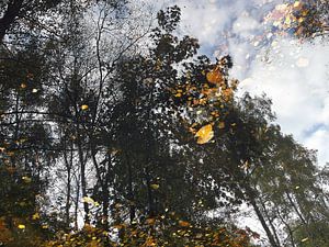 water reflectie in een plas