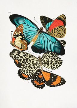 Schmetterlinge 1, Pictufy von 1x