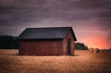 Swedish countryside barn van Leon Brouwer
