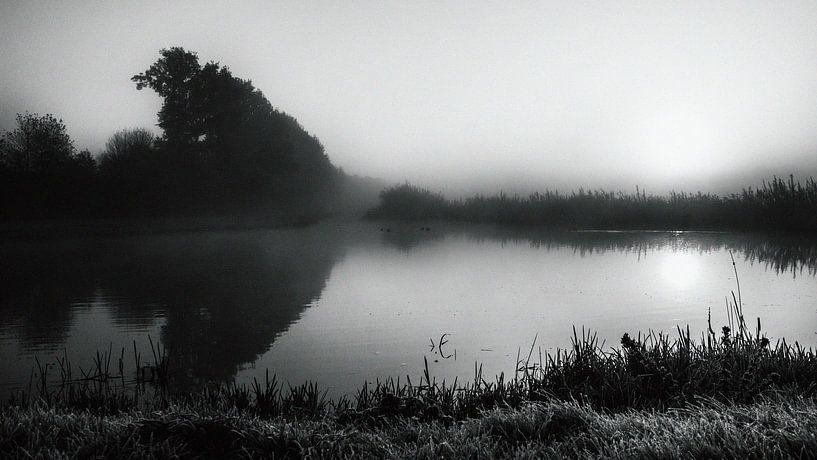 Waterlandschap van Dianthe Forkink