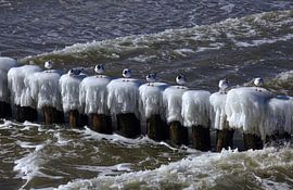 Ostsee von Thomas Jäger
