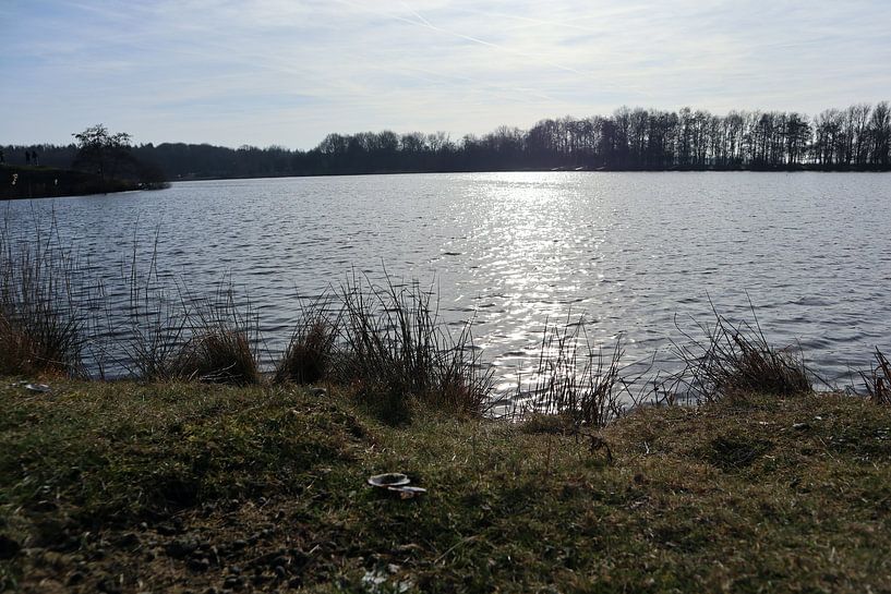 Wyldemerk von Jan Albada