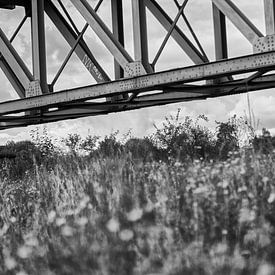 Pont ferroviaire (noir et blanc) sur Luis Henrique