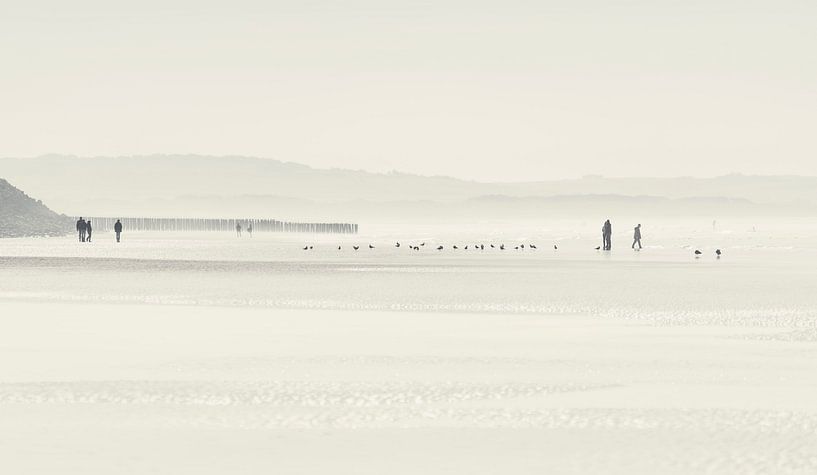1014 Milk Coast van Adrien Hendrickx