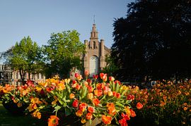 L'église Plantage à Zwolle, au milieu des tulipes sur Arjen Snijder