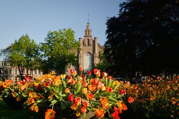 Die Plantagekirche in Zwolle inmitten der Tulpen