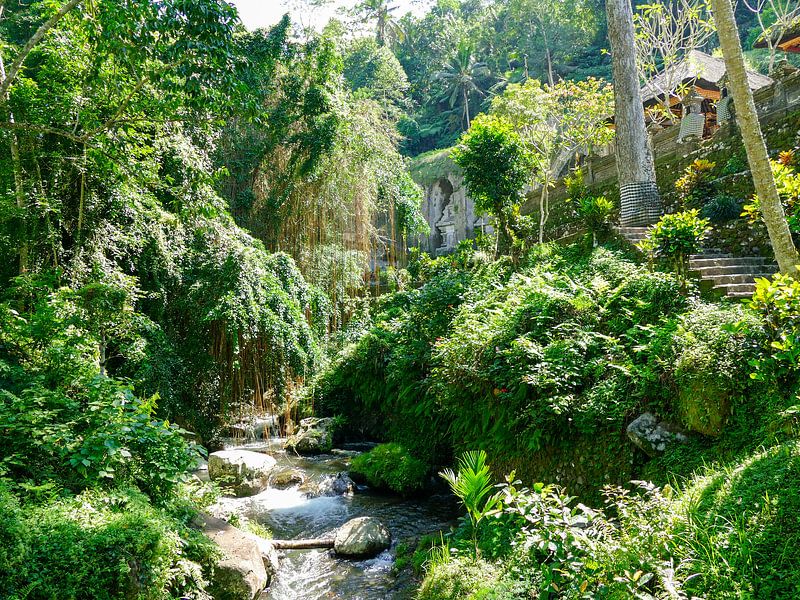 De jungle bij Kunung Kawi by Petra Brouwer