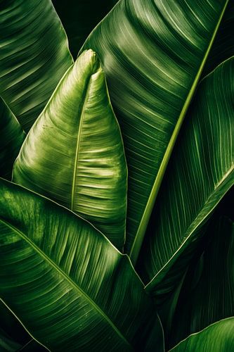 Groene bladeren