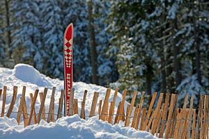 Ein Winterzaun und ein alter Ski