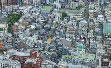 Tokyo Skyline (Japan) by Marcel Kerdijk