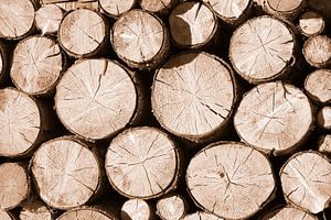 Ein Holzbild