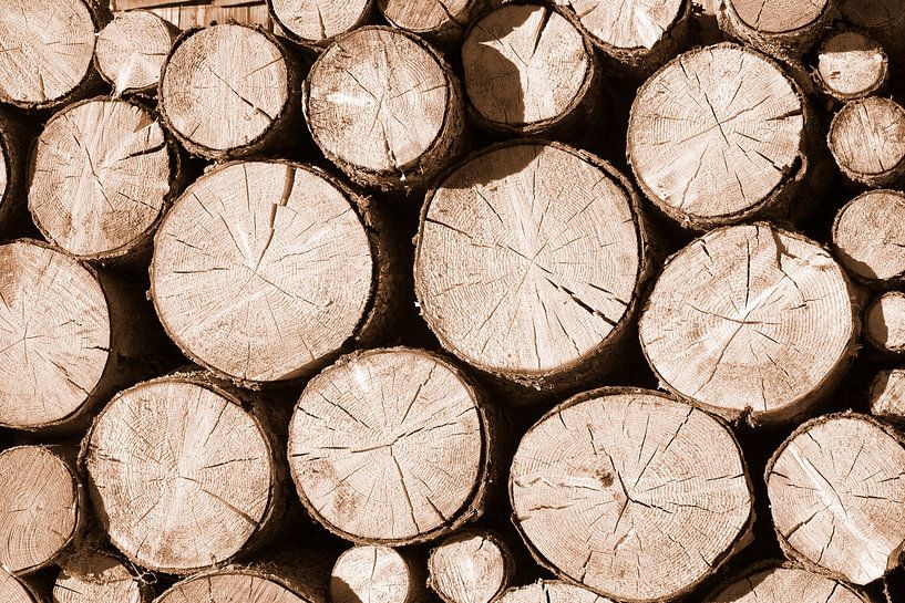 A wooden picture by Christa Kramer