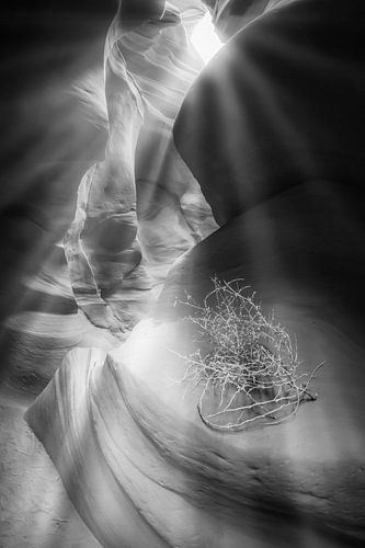 ANTELOPE CANYON & Sonnenstrahlen s/w  von Melanie Viola