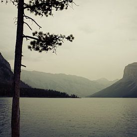 Mehr Minnewanka: Kanada von Jasper van der Meij