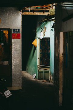 Vietnam essentials by Jesse Wensing